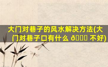 大门对巷子的风水解决方法(大门对巷子口有什么 🐞 不好)